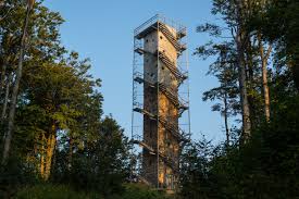 Věž Guelph foto